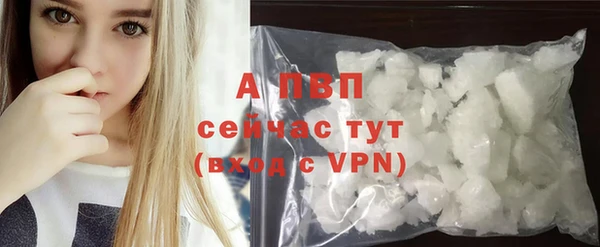 PSILOCYBIN Верхний Тагил