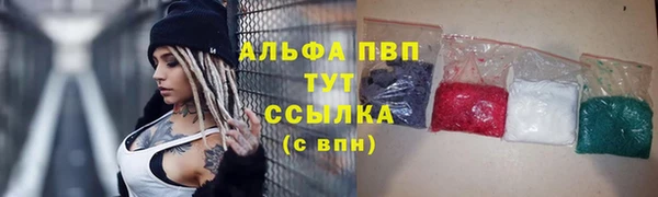 PSILOCYBIN Верхний Тагил