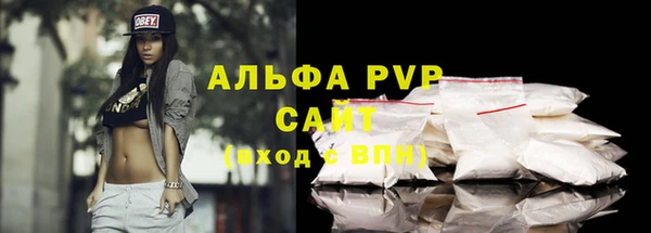 PSILOCYBIN Верхний Тагил