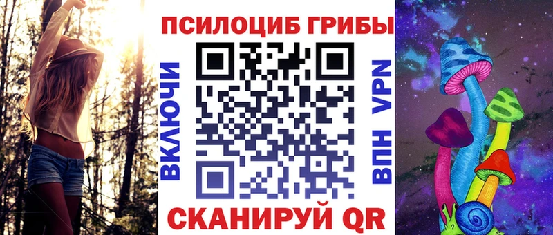 Псилоцибиновые грибы мицелий  где найти   Черепаново 